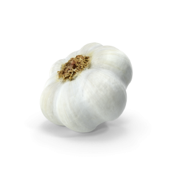 Garlic.H03.2k